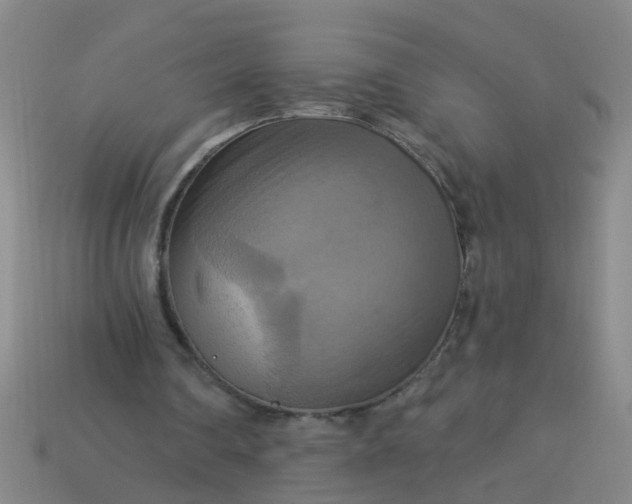 X0000114100290200910191648