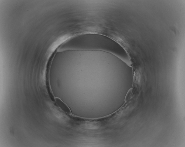 X0000114100292200910191647