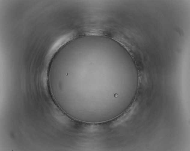 X0000114100293200910191647