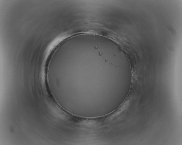 X0000114100294200910191647