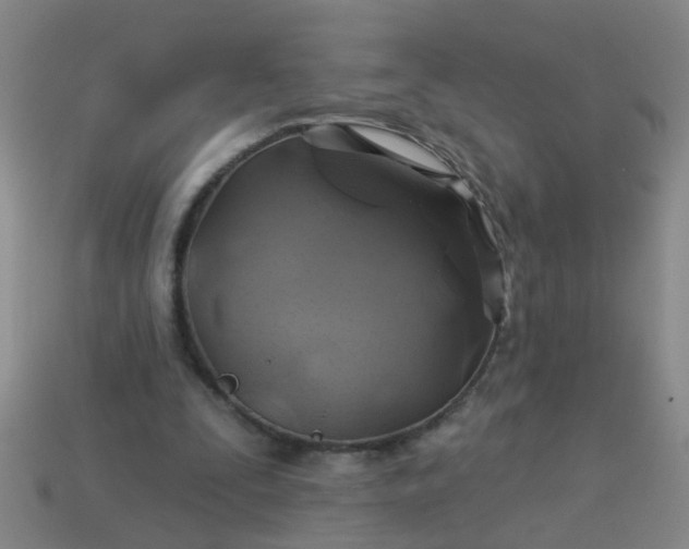 X0000114100295200910191647