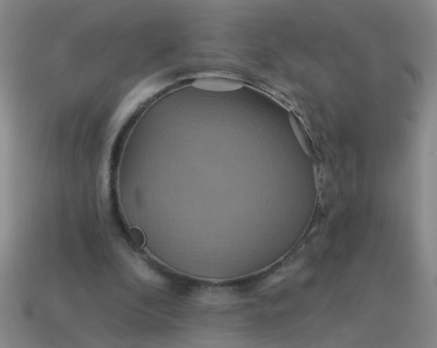 X0000114100296200910191647