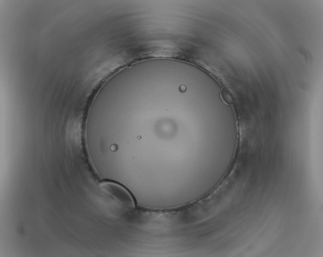 X0000114100297200910191647