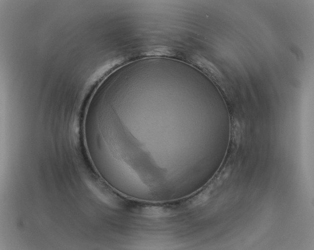 X0000114100298200910191647