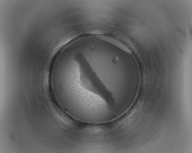 X0000114100299200910191647