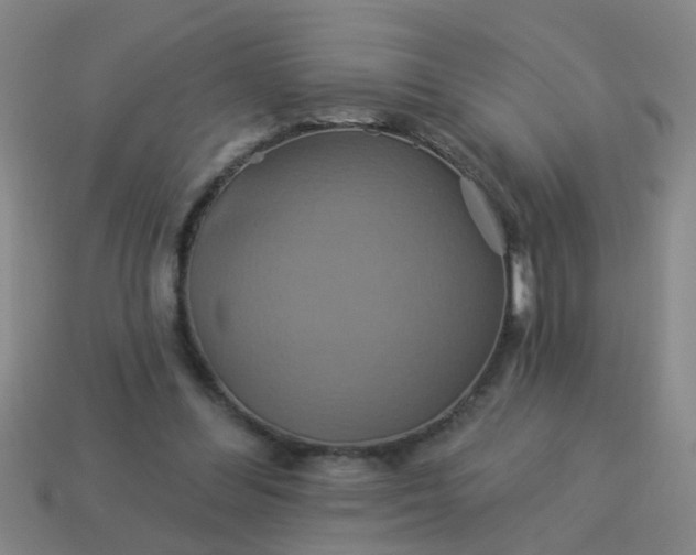 X0000114100300200910191647