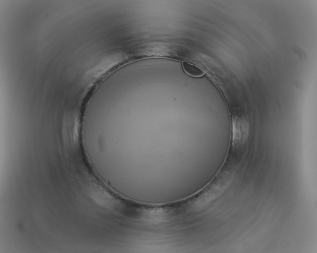 X0000114100301200910191647