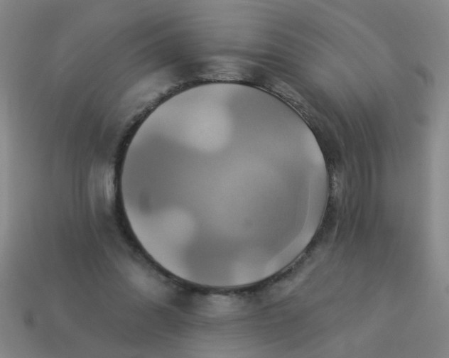 X0000114100302200910191647