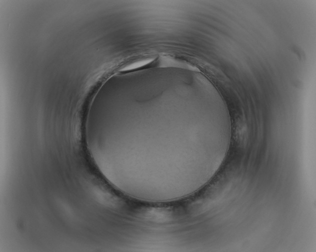 X0000114100303200910191647