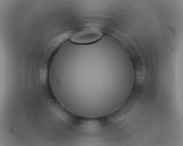 X0000114100304200910191647