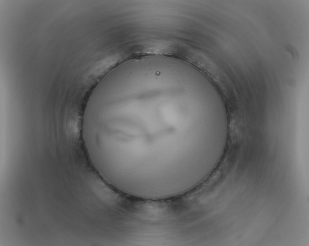 X0000114100305200910191647