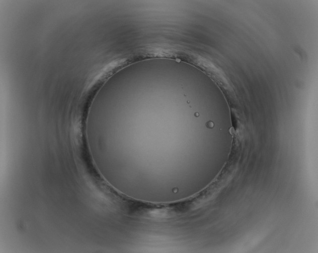 X0000114100306200910191647