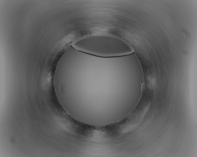 X0000114100308200910191647