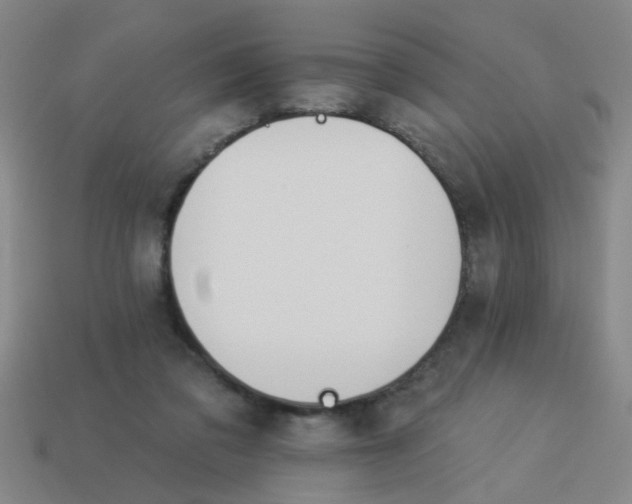 X0000114100309200910191647