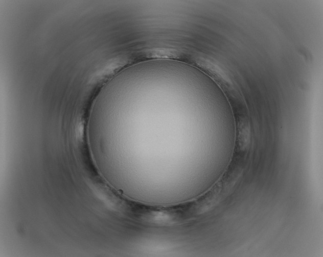 X0000114100310200910191647