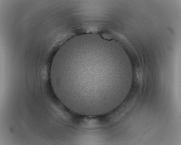 X0000114100311200910191647