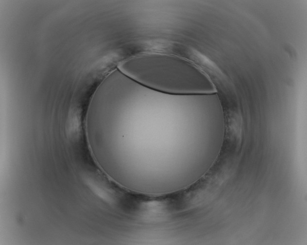 X0000114100312200910191647