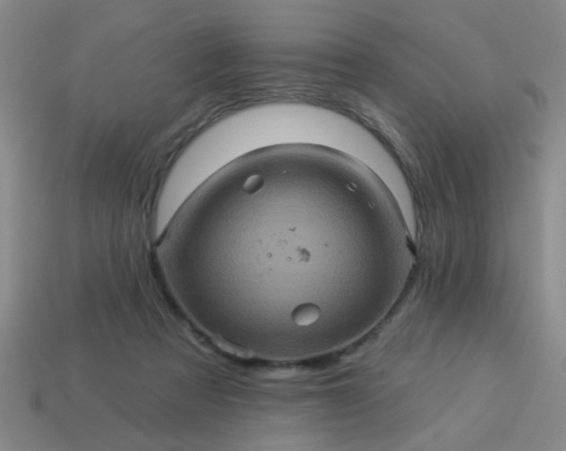 X0000114100313200910191647