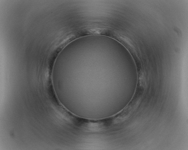 X0000114100314200910191647