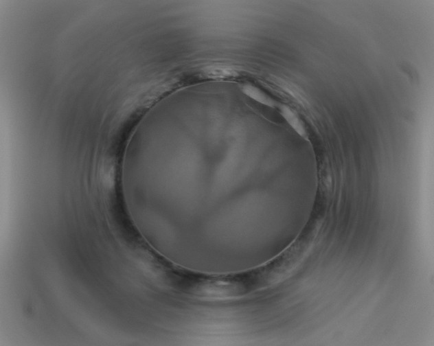 X0000114100315200910191647