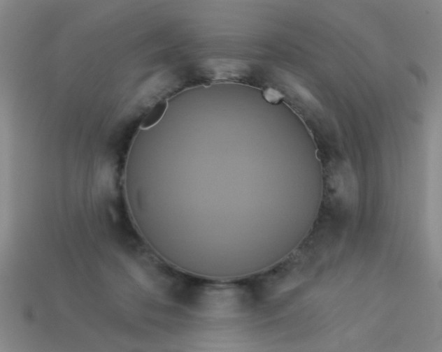 X0000114100316200910191647