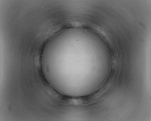 X0000114100317200910191647