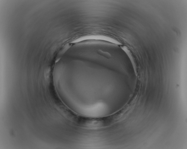 X0000114100319200910191647