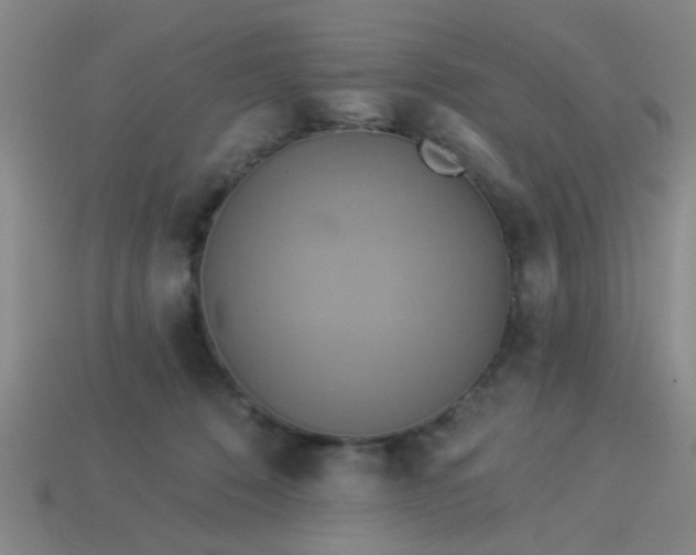 X0000114100320200910191647