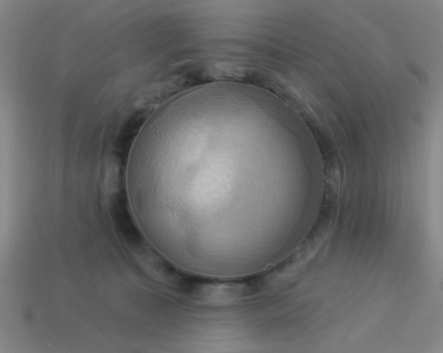 X0000114100323200910191647