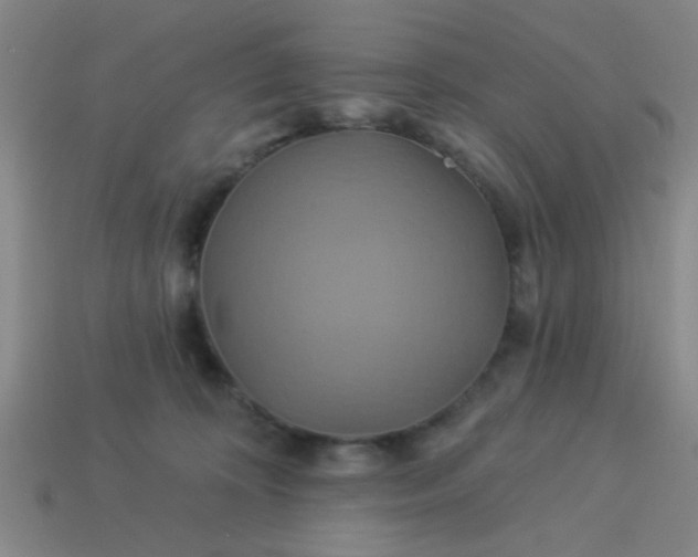 X0000114100324200910191647