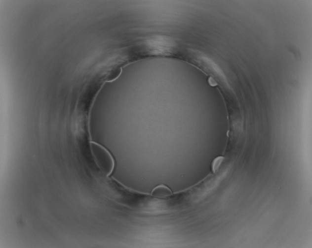 X0000114100325200910191647