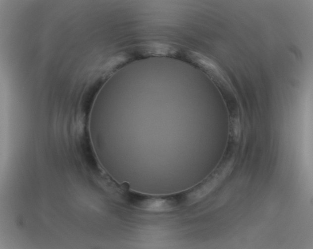 X0000114100326200910191647