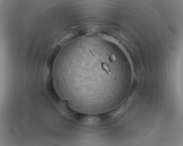 X0000114100327200910191647