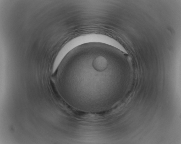 X0000114100328200910191647