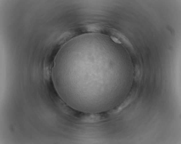 X0000114100329200910191647