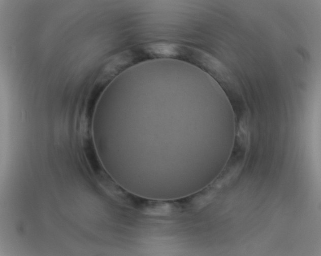 X0000114100330200910191647