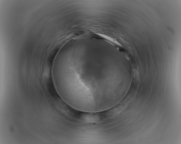 X0000114100331200910191647