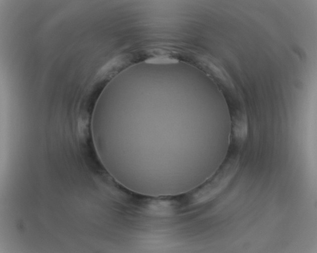 X0000114100332200910191647