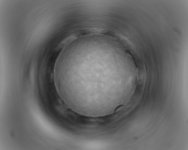 X0000114100334200910191647