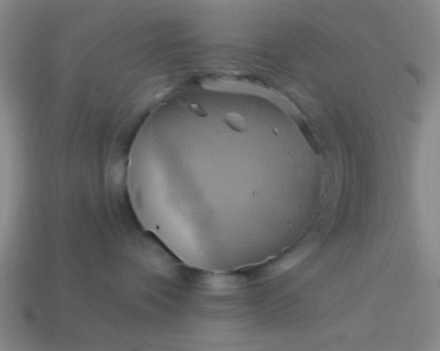 X0000114100336200910191647