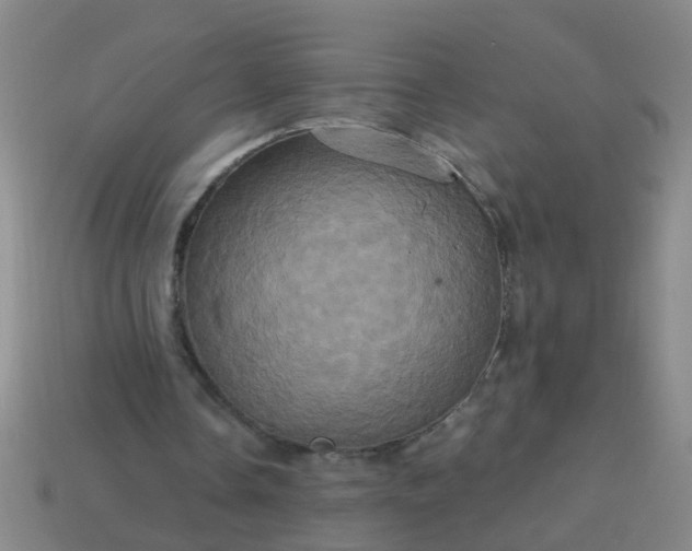 X0000114100338200910191646