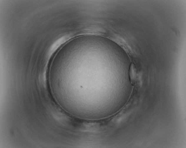 X0000114100340200910191646