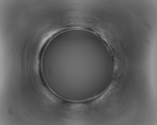 X0000114100342200910191646