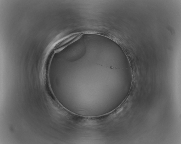 X0000114100343200910191646