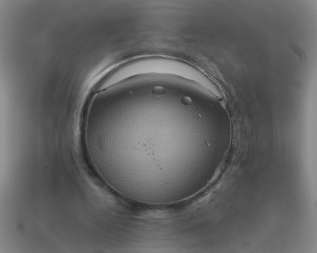 X0000114100344200910191646