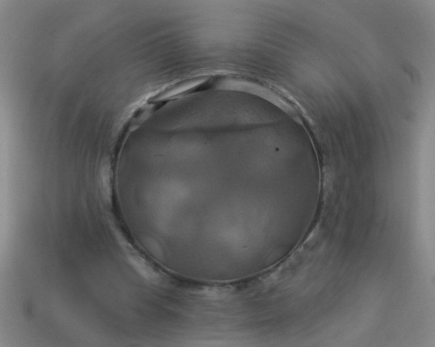 X0000114100345200910191646