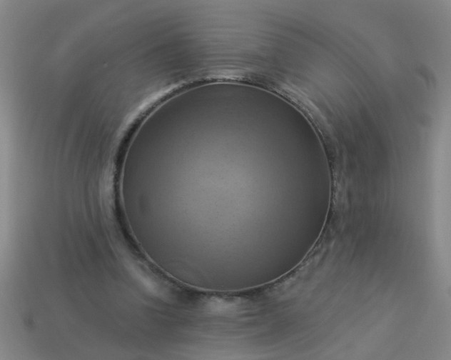 X0000114100346200910191646