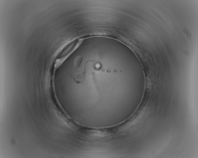 X0000114100347200910191646