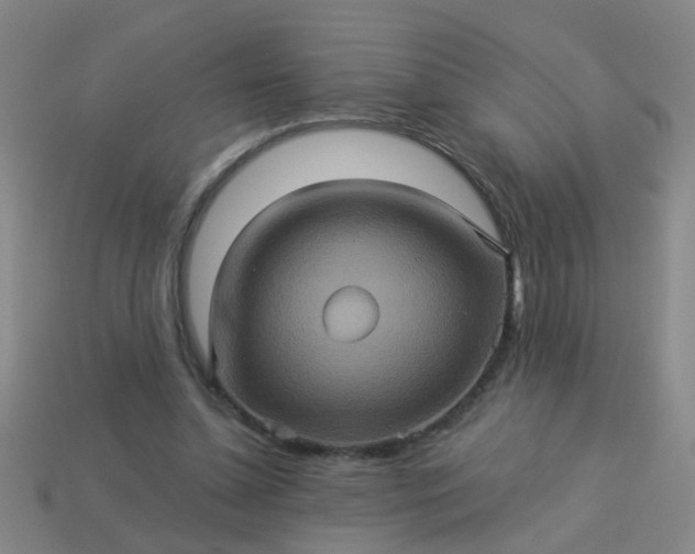 X0000114100348200910191646