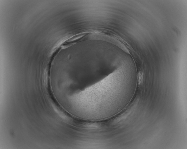 X0000114100349200910191646